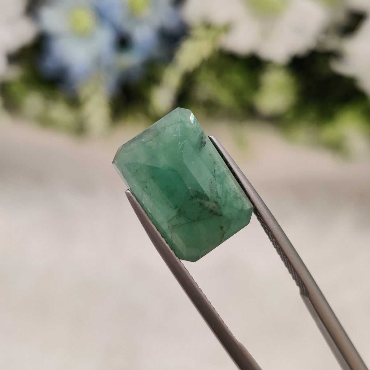 Natural Emerald (Panna) | EM 219 | 8.3 Carat | Certified