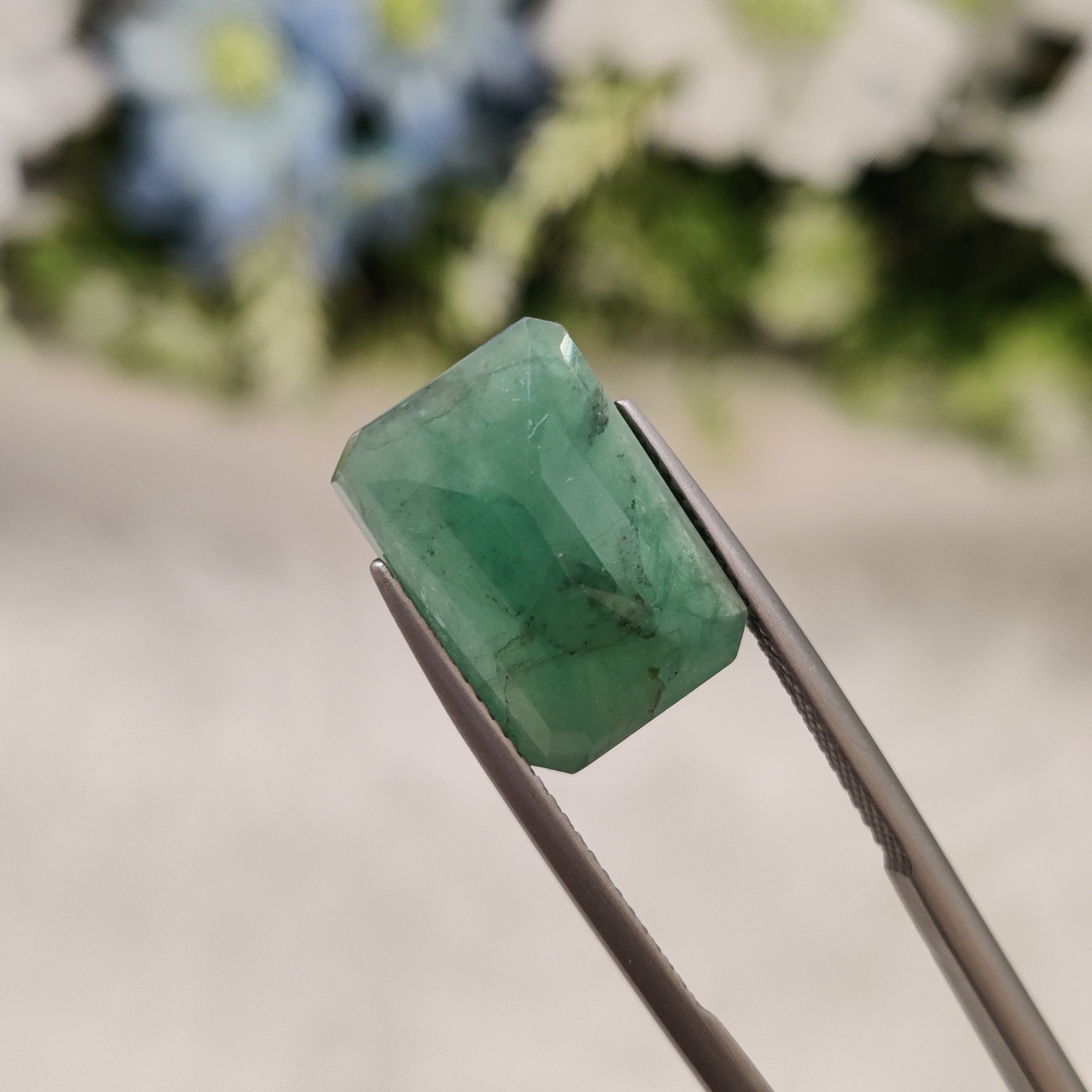 Emerald | EM 219 | 8.3 Carat