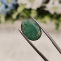 Emerald | EM 105 | 8.29 Carat