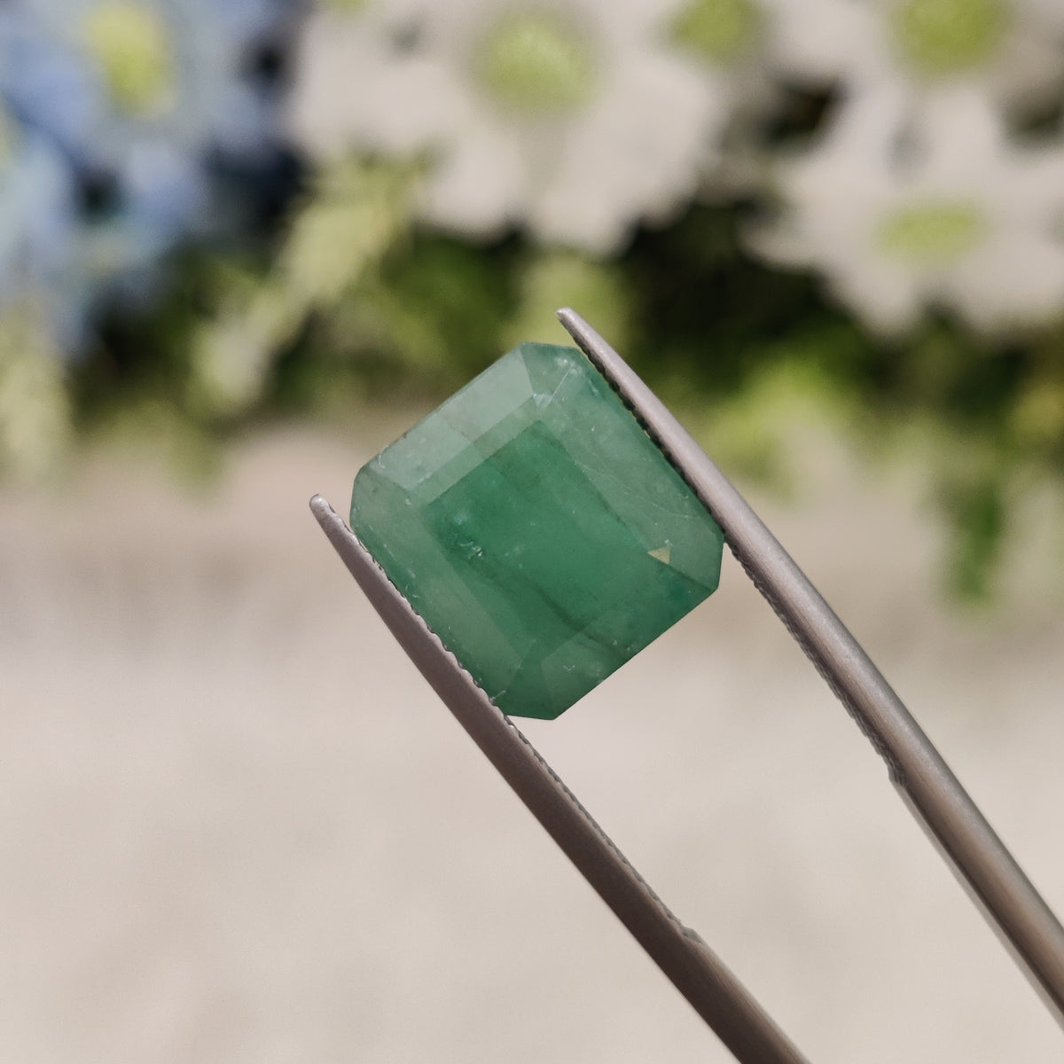 Natural Emerald (Panna) | EM 220 | 7.48 Carat | Certified