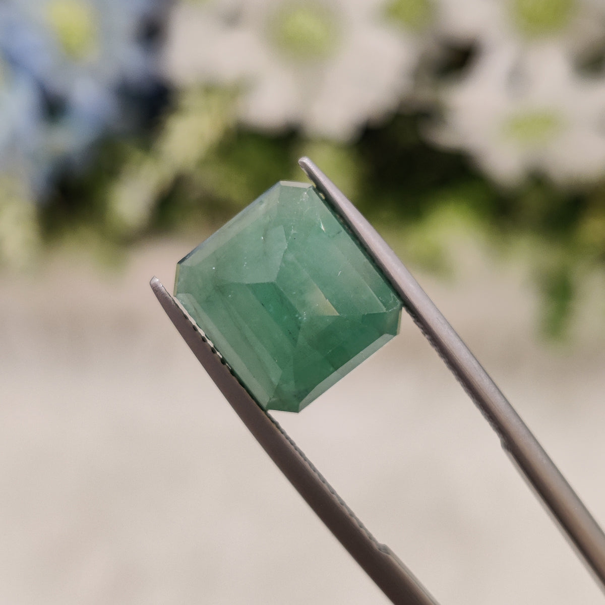 Natural Emerald (Panna) | EM 220 | 7.48 Carat | Certified