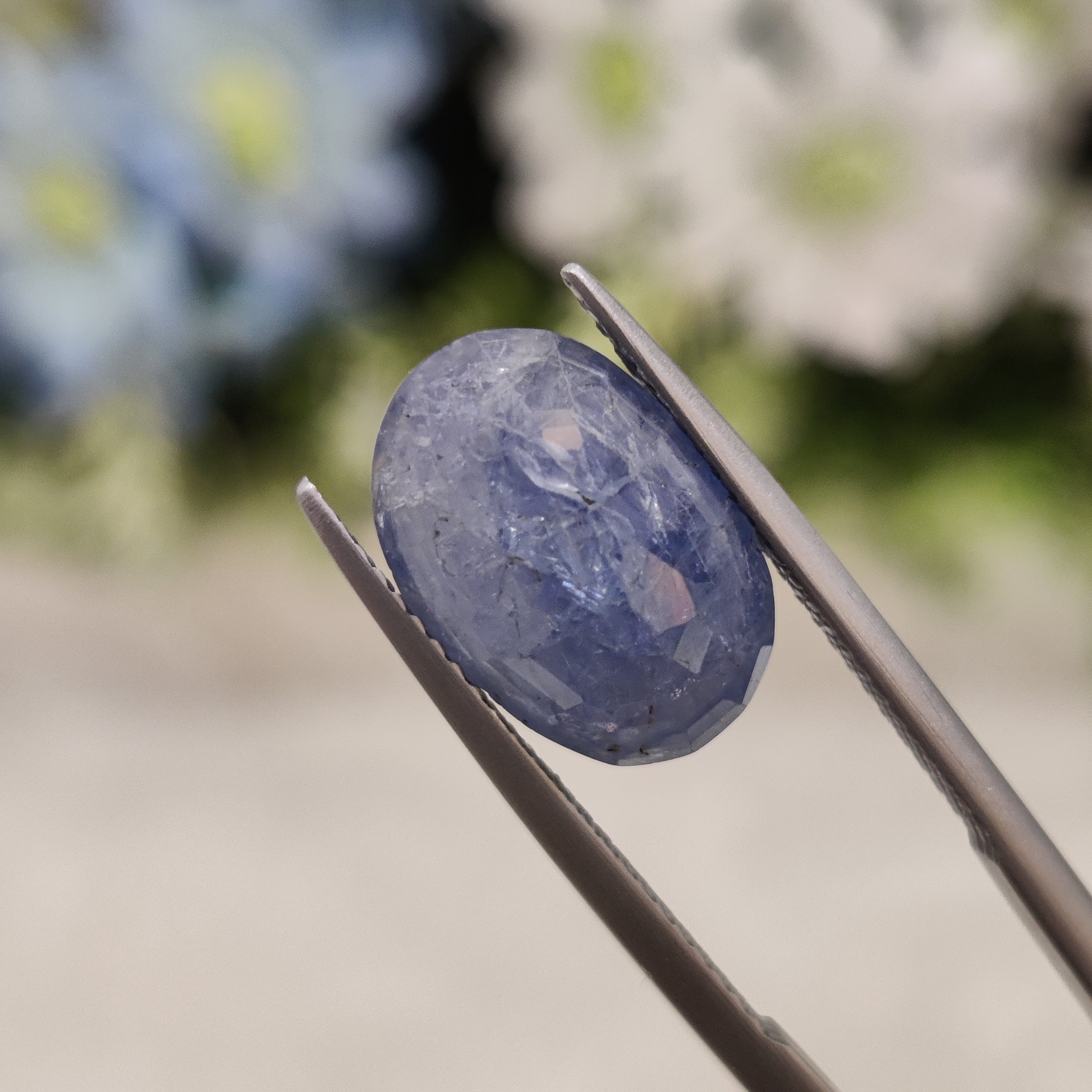 Blue Sapphire | BS 22  | 7.34 Carat