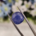Blue Sapphire | BS 12  | 6.85 Carat