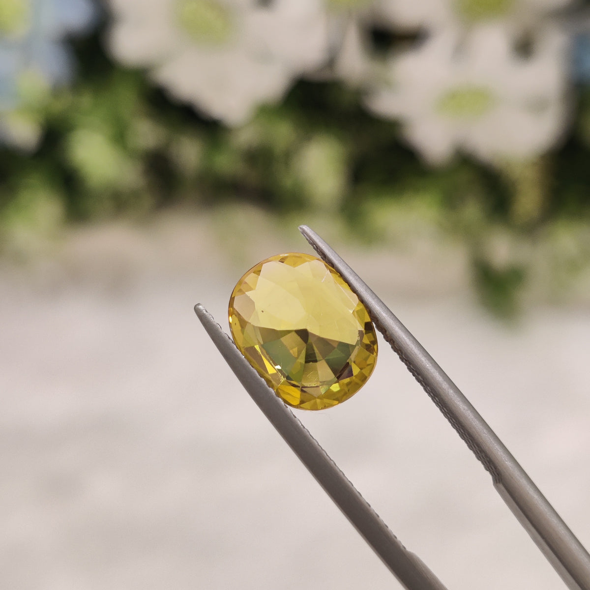 Natural Yellow Sapphire (Pukhraj) | YS 37 | 3.46 Carat | Certified