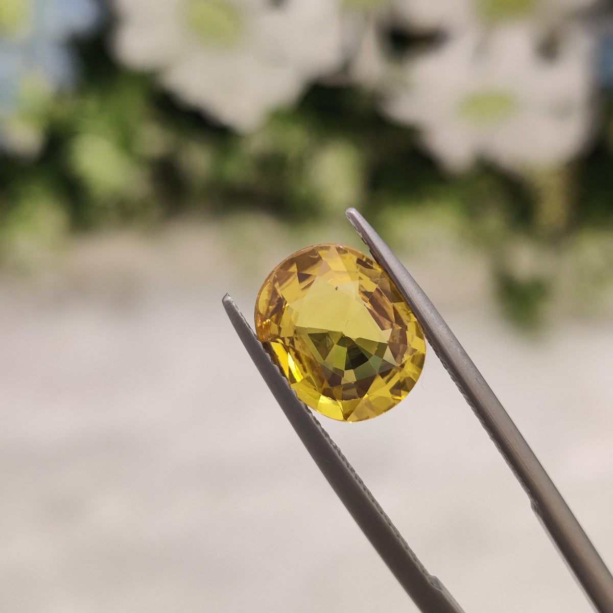 Natural Yellow Sapphire (Pukhraj) | YS 37 | 3.46 Carat | Certified