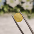 Yellow Sapphire | YS 16 | 3.6 Carat