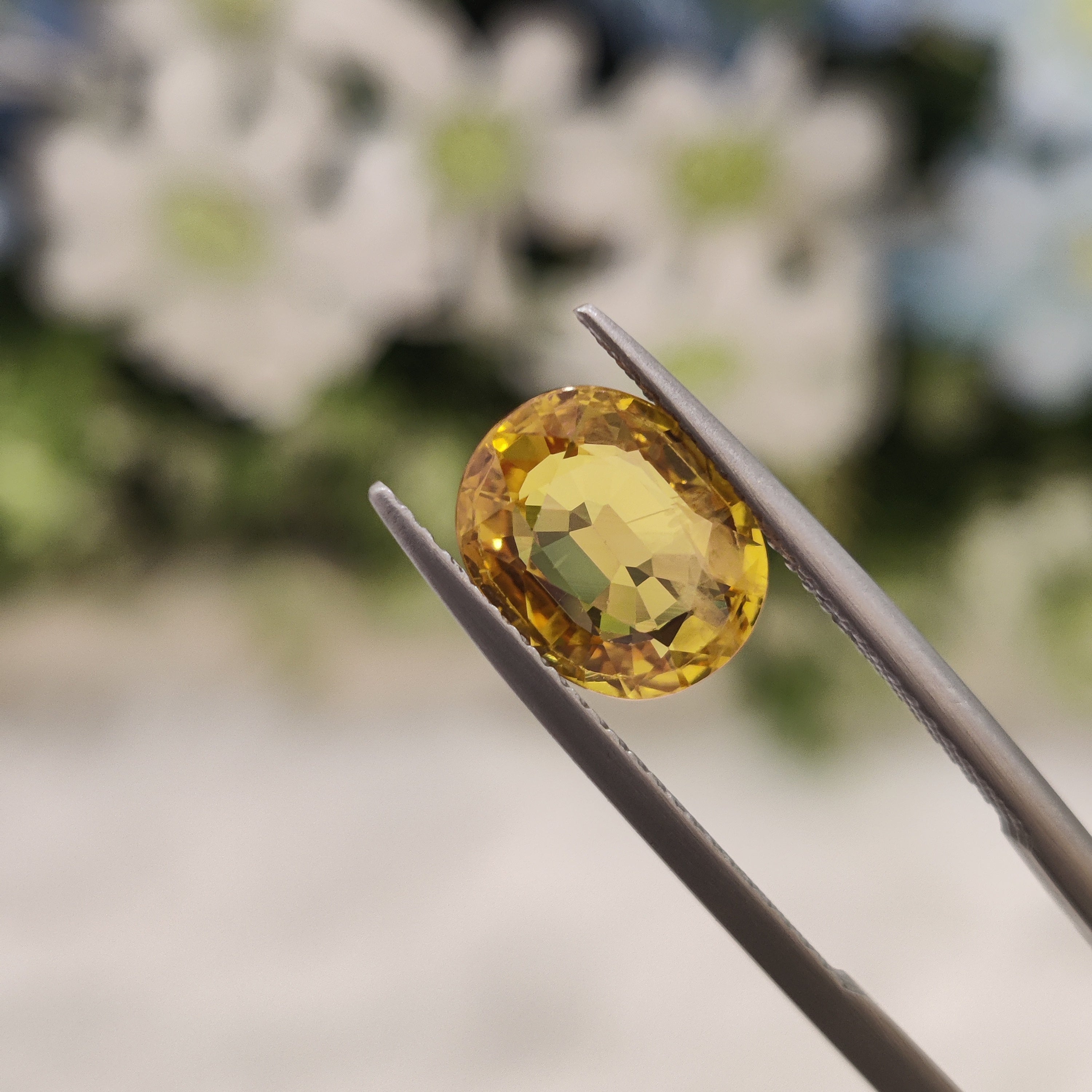 Yellow Sapphire | YS 30 | 0 Carat