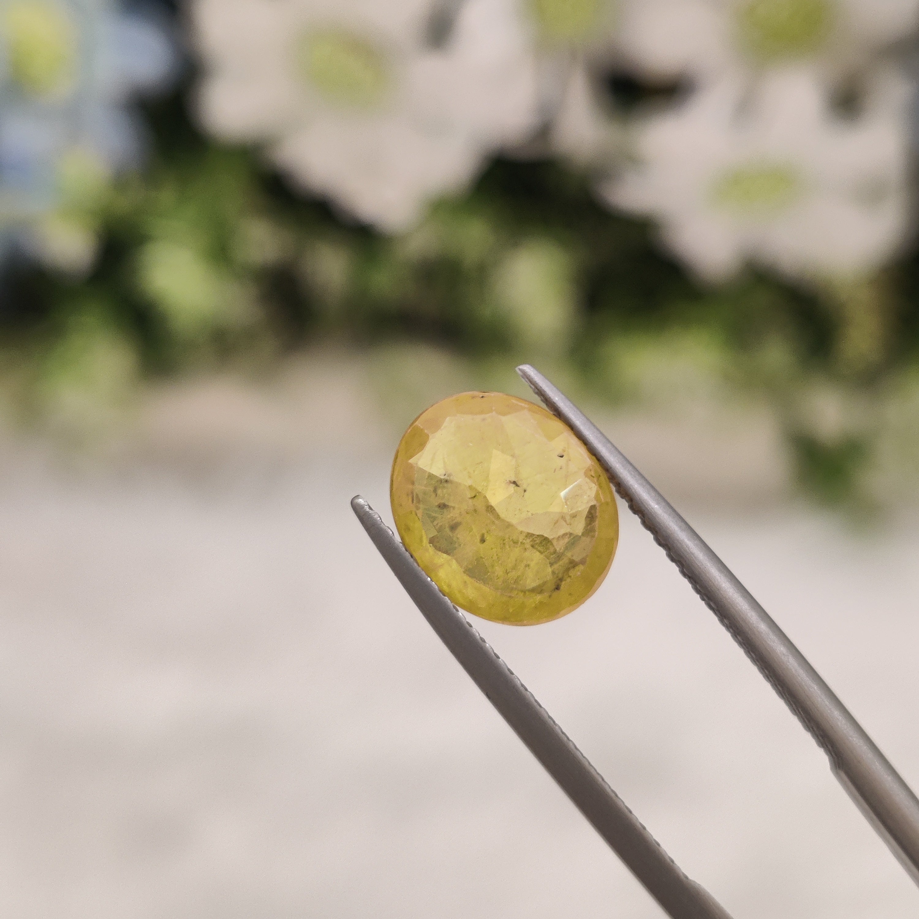 Yellow Sapphire | YS 239 | 3.4 Carat