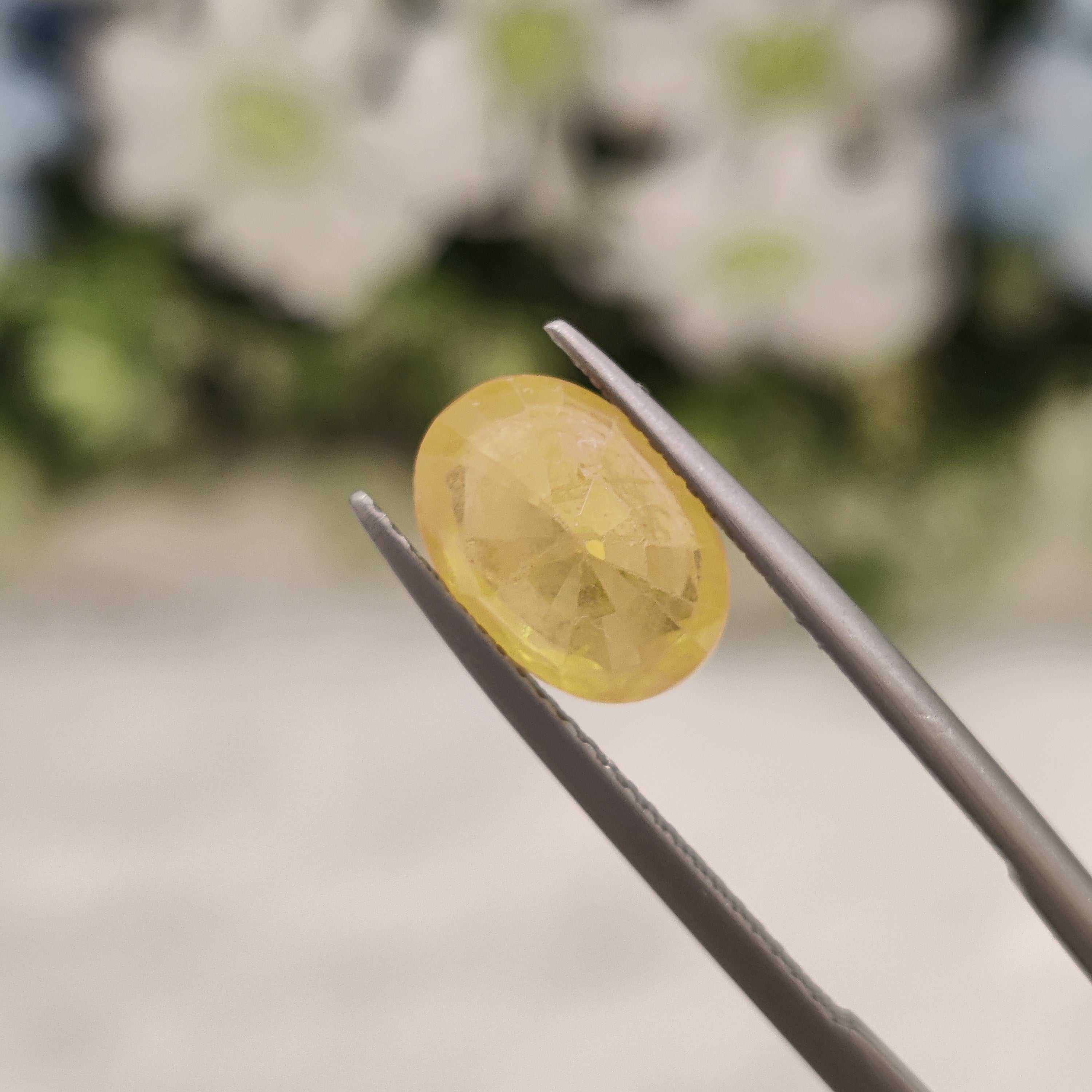 Yellow Sapphire | YS 225 | 3.71 Carat