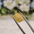 Yellow Sapphire | YS 218 | 3.15 Carat