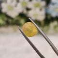 Yellow Sapphire | YS 216 | 3.16 Carat