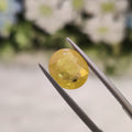 Yellow Sapphire | YS 2 | 3.87 Carat
