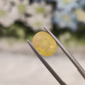 Yellow Sapphire | YS 236 | 3.91 Carat