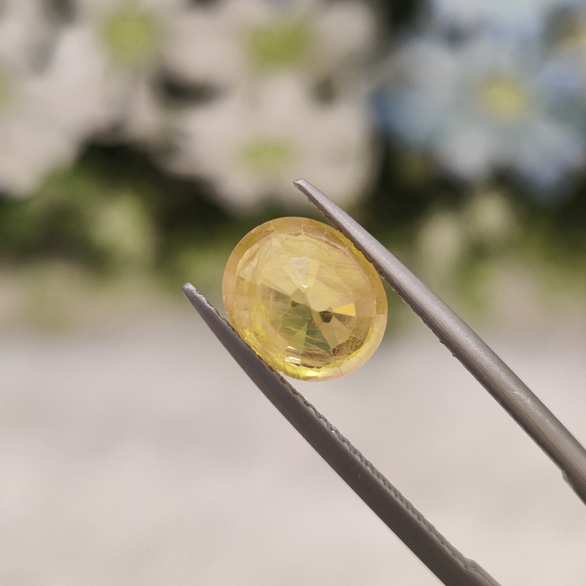 Natural Yellow Sapphire (Pukhraj) | YS 238 | 3.58 Carat | Certified