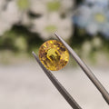 Yellow Sapphire | YS 35 | 3.34 Carat