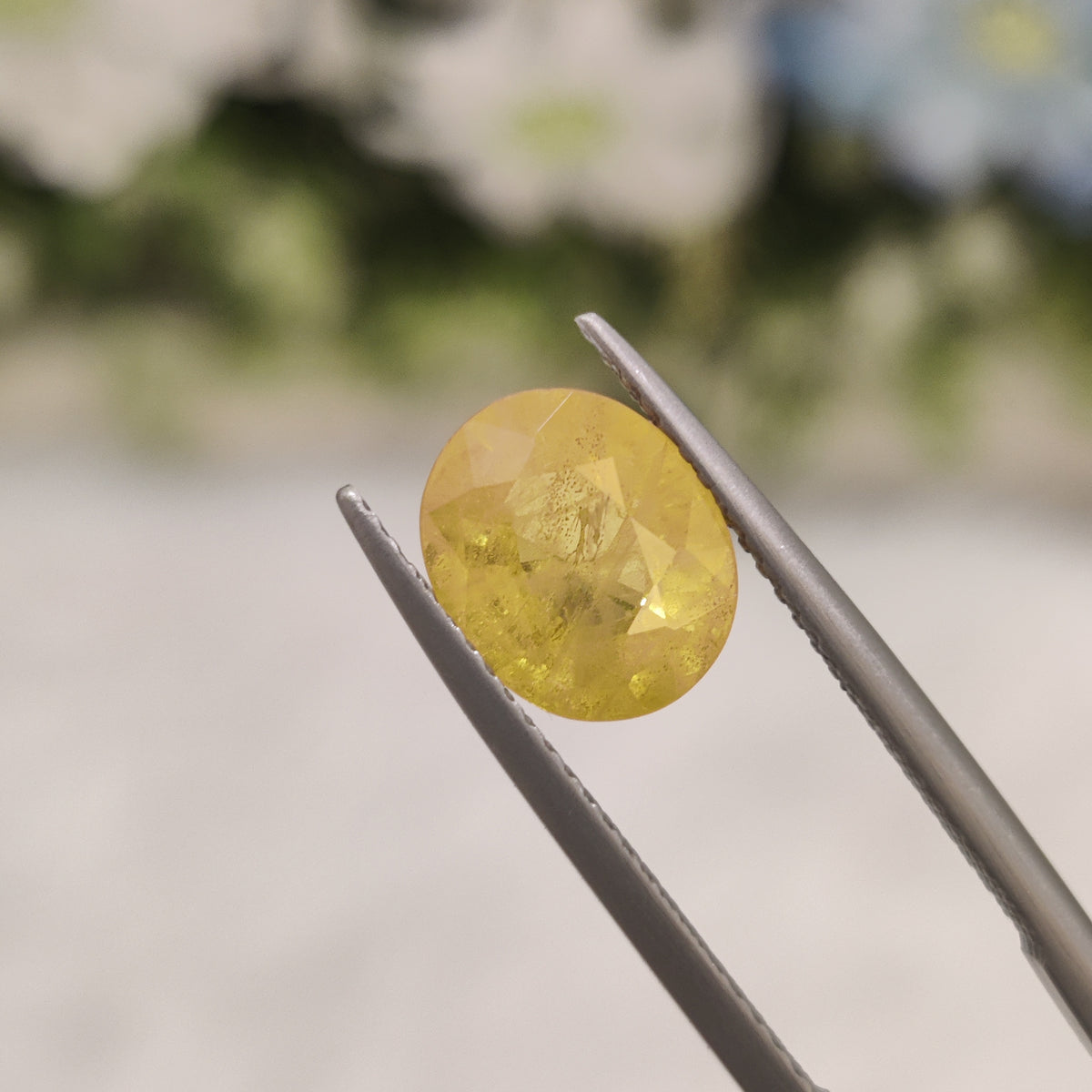 Natural Yellow Sapphire (Pukhraj) | YS 231 | 3.00 Carat | Certified