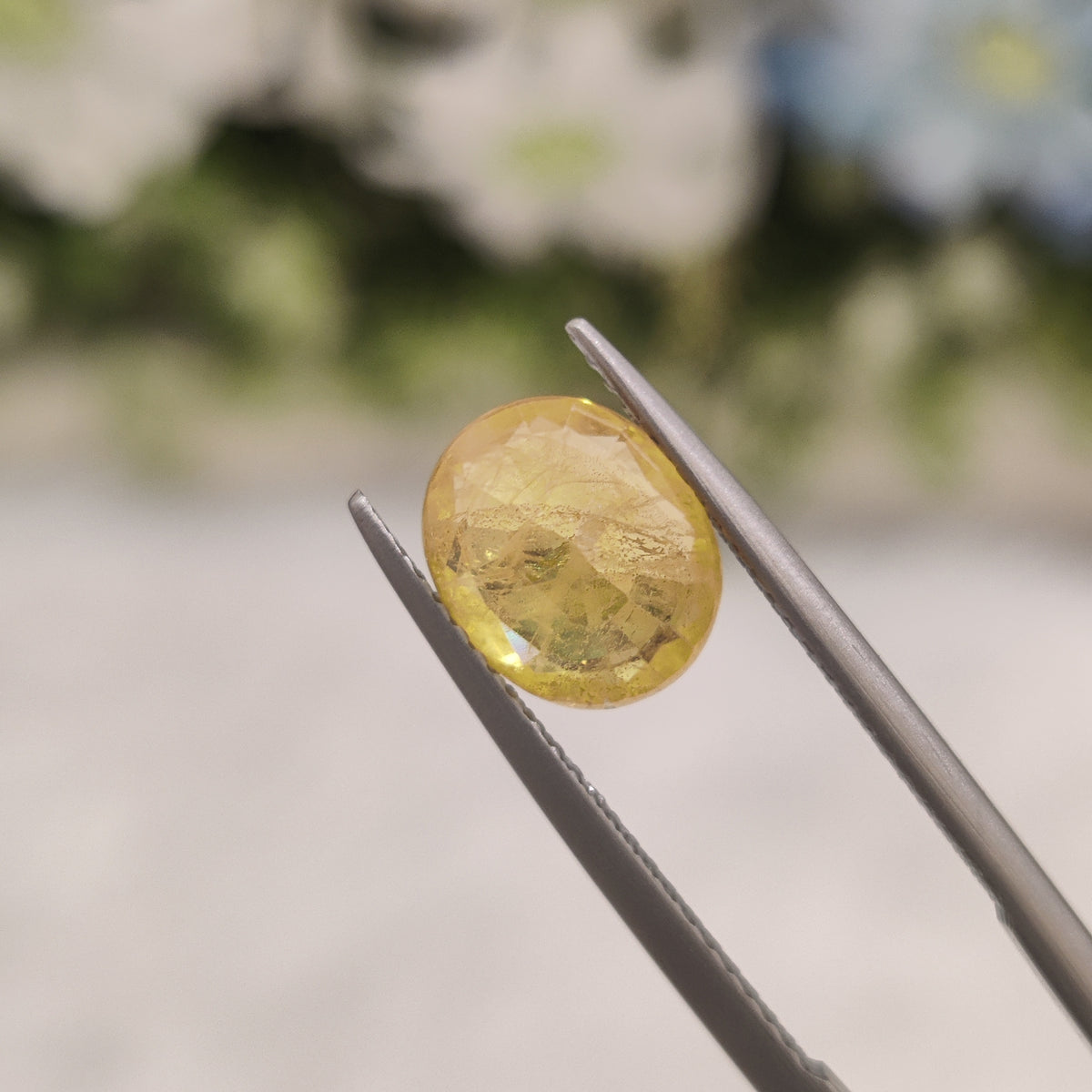 Natural Yellow Sapphire (Pukhraj) | YS 231 | 3.00 Carat | Certified
