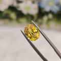 Yellow Sapphire | YS 36 | 3.4 Carat
