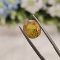 Yellow Sapphire | YS 104 | 4.89 Carat