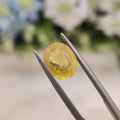 Yellow Sapphire | YS 200 | 4.17 Carat