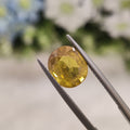 Yellow Sapphire | YS 170 | 4.34 Carat