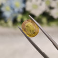 Yellow Sapphire | YS 84 | 4.42 Carat