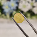 Yellow Sapphire | YS 19 | 4.07 Carat