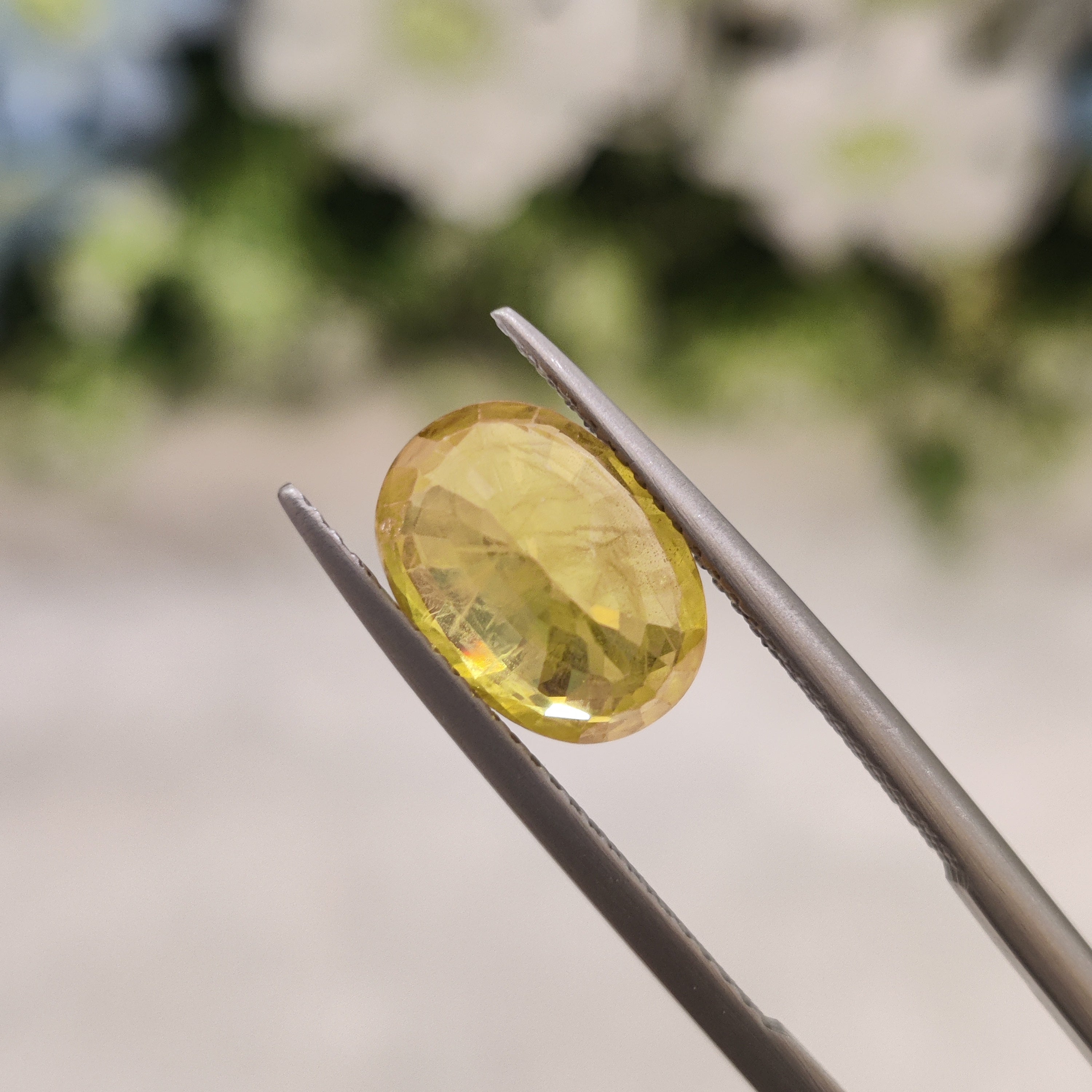 Yellow Sapphire | YS 212 | 4.2 Carat
