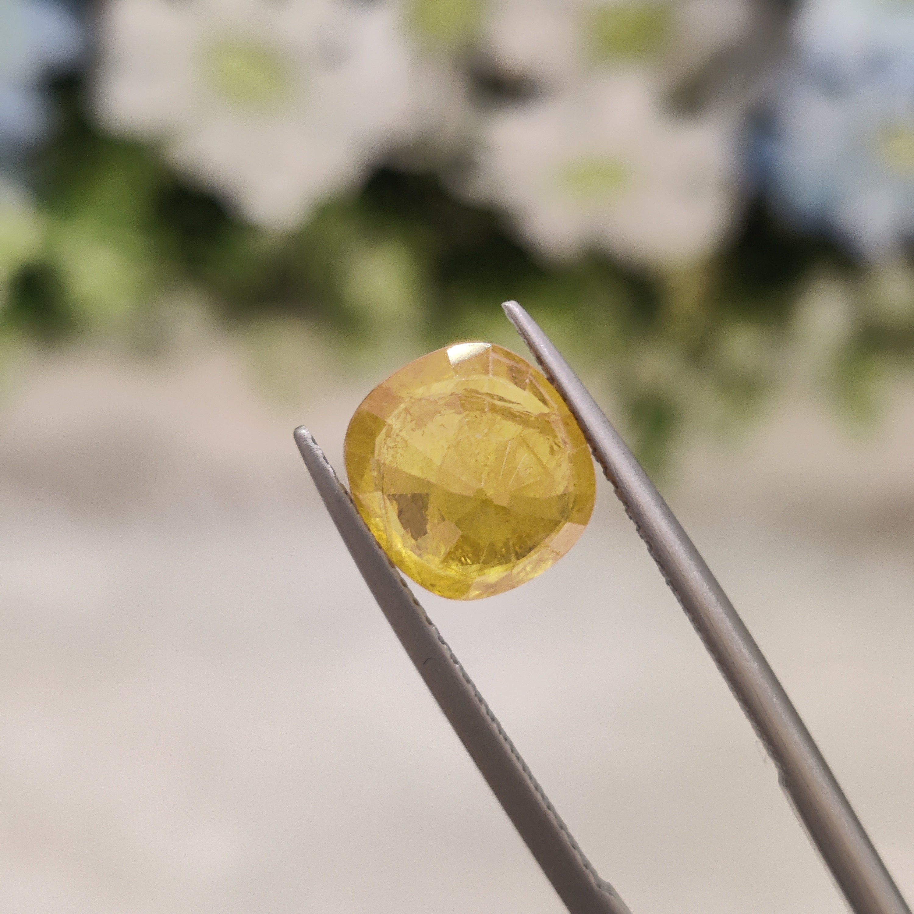 Yellow Sapphire | YS 41 | 4.42 Carat