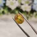 Yellow Sapphire | YS 115 | 4.66 Carat
