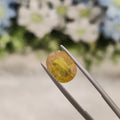 Yellow Sapphire | YS 94 | 4.09 Carat