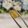 Yellow Sapphire | YS 75 | 4.47 Carat