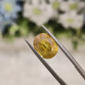 Yellow Sapphire | YS 92 | 4.53 Carat