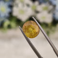 Yellow Sapphire | YS 99 | 4.65 Carat