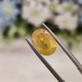 Yellow Sapphire | YS 66 | 4.03 Carat