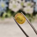 Yellow Sapphire | YS 126 | 4.94 Carat