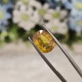 Yellow Sapphire | YS 133 | 4.52 Carat