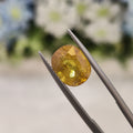 Yellow Sapphire | YS 100 | 5.01 Carat