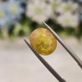 Yellow Sapphire | YS 60 | 5.01 Carat