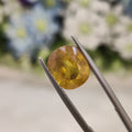 Yellow Sapphire | YS 125 | 5.21 Carat