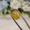 Yellow Sapphire | YS 79 | 5.41 Carat