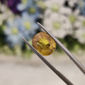 Yellow Sapphire | YS 175 | 5.22 Carat