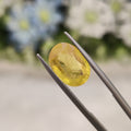 Yellow Sapphire | YS 201 | 5.35 Carat