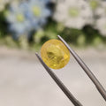 Yellow Sapphire | YS 209 | 5.63 Carat