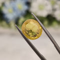 Yellow Sapphire | YS 214 | 5.28 Carat