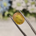 Yellow Sapphire | YS 139 | 5.52 Carat