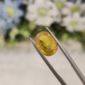 Yellow Sapphire | YS 167 | 5.64 Carat