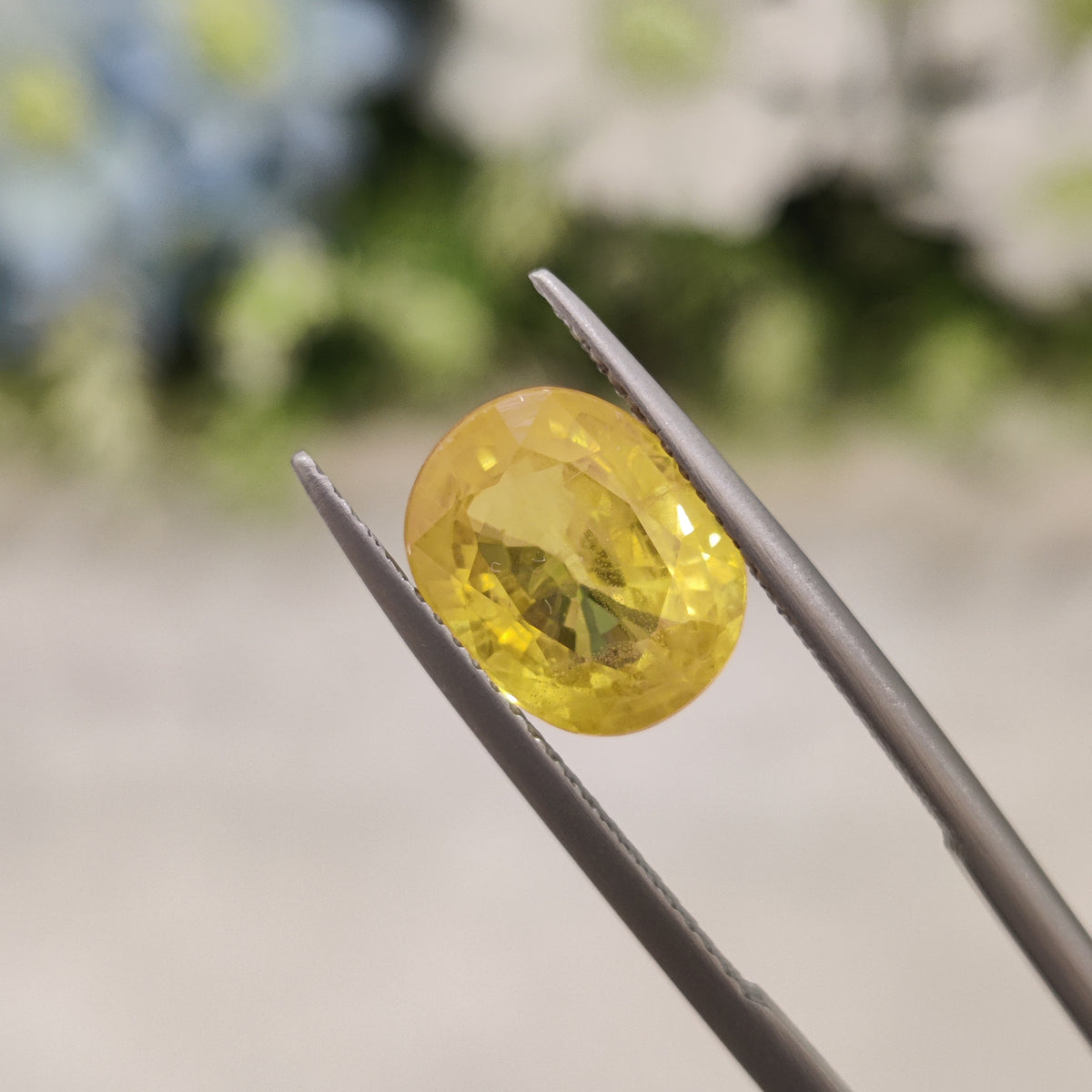 Natural Yellow Sapphire (Pukhraj) | YS 184 | 5.46 Carat | Certified