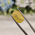 Yellow Sapphire | YS 73 | 6.05 Carat