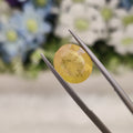 Yellow Sapphire | YS 235 | 6.06 Carat